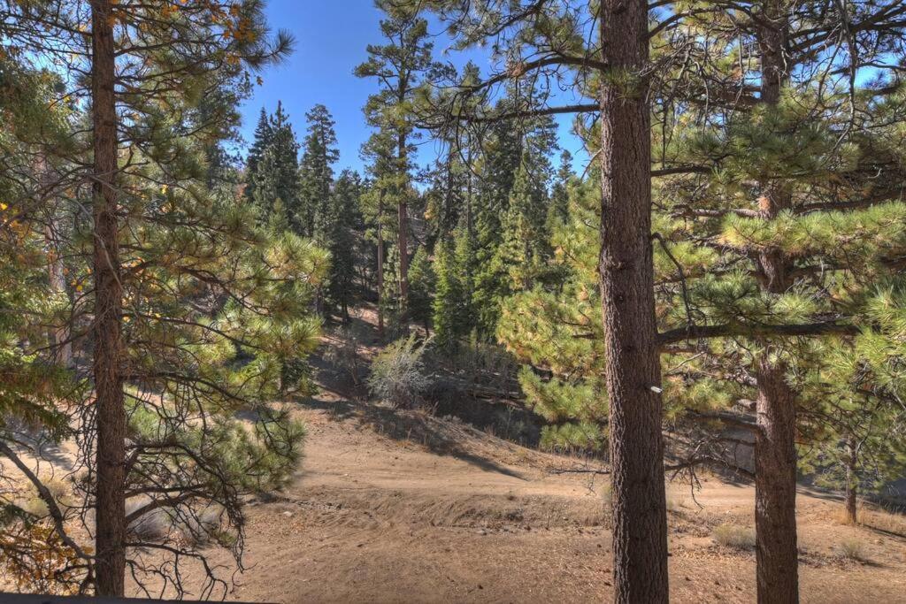 Everwood Serenity Treehouse Ontrail Head/Sledding Big Bear Lake Exterior foto