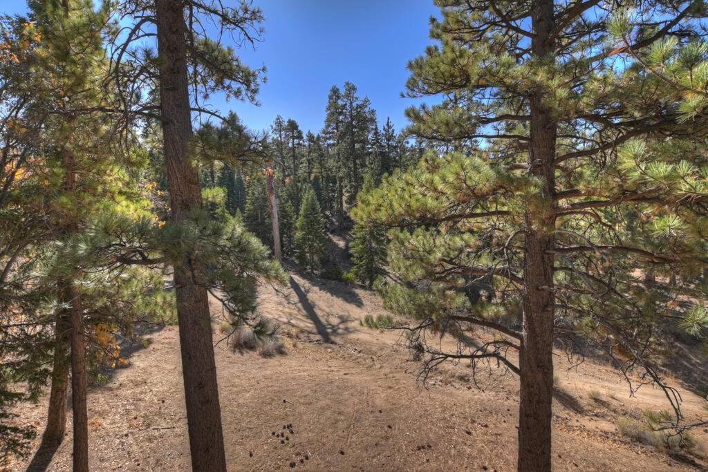 Everwood Serenity Treehouse Ontrail Head/Sledding Big Bear Lake Exterior foto